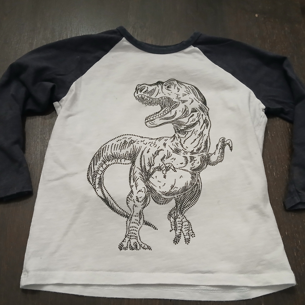 Zara Dinosaur Embelished Jersey Long Sleeved Top 100% Cotton Size:4-5